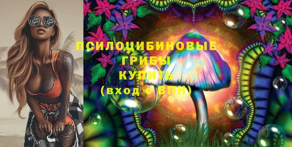 PSILOCYBIN Дмитриев